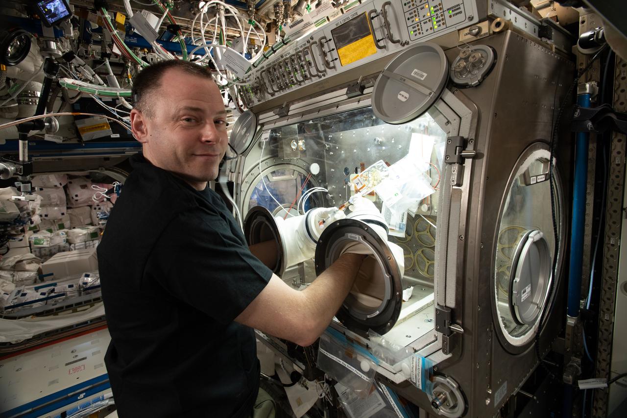 iss059e061135 (May 13, 2019) --- NASA astronaut Nick Hague conducts research operations in the U.S. Destiny laboratory module's Microgravity Sciences Glovebox. Hague is exploring why pathogens become more virulent in the weightless environment of outer space posing a flight risk to astronauts.