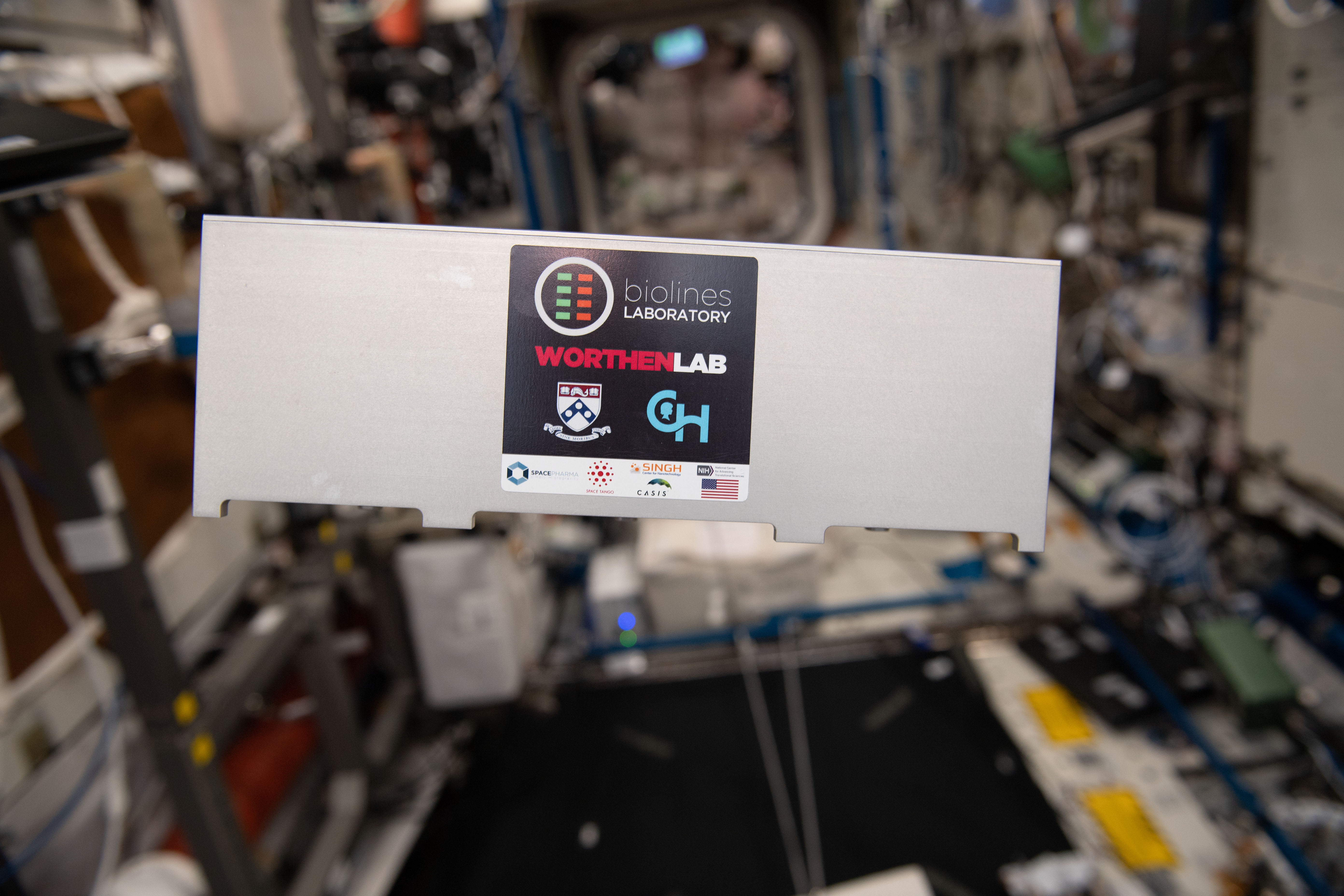 iss059e061372 (5/13/2019) --- Photo documentation of the Lung Host Defense in Microgravity investigation in the Destiny module onboard the International Space Station (ISS). Lung Host Defense in Microgravity explores why the space environment makes astronauts more prone to sickness than people on Earth. It uses organ-on-a-chip technology to create three-dimensional models of the lung and bone marrow from living human cells.