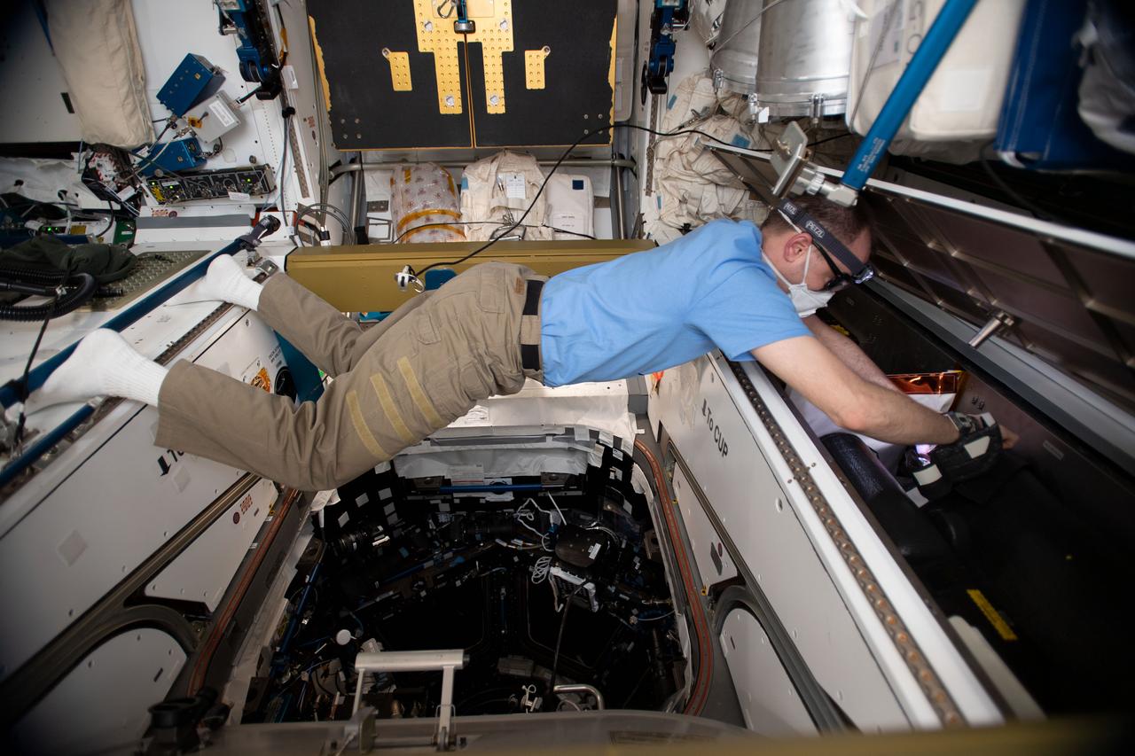 iss059e061760 (May 15, 2019) --- NASA astronaut Nick Hague of Expedition 59 installs gas trap plugs inside the Harmony module's Moderate Temperature Loop Pump Package Assembly. The gas trap plugs would slow an ammonia release through the gas trap vent hole in the event of an Interface Heat Exchanger breach and reduce coolant leakage during vacuum conditions at the International Space Station.