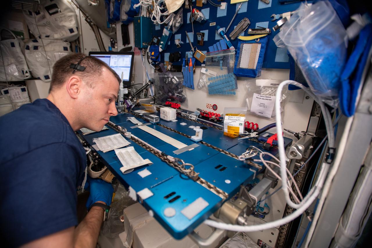 iss059e068226 (May 21, 2019) --- NASA astronaut Nick Hague of Expedition 59 sequences DNA samples for a study exploring how increased exposure to space radiation impacts crew health. He used the Biomolecule Sequencer for the investigation to demonstrate DNA sequencing in space. The Genes In Space-6 experiment is researching how space radiation damages DNA and how the cell repair mechanism works in microgravity.