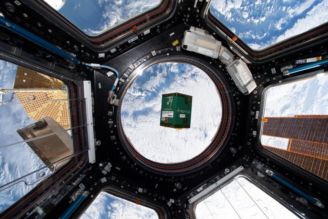 iss059e074538 (5/27/2019) --- Photo documentation of the DreamKit: Plants in Space investigation in the Copula module of the International Space Station (ISS).  The DreamKit: Plants in Space investigation is a student investigation that studies plant growth and direction in a microgravity environment.