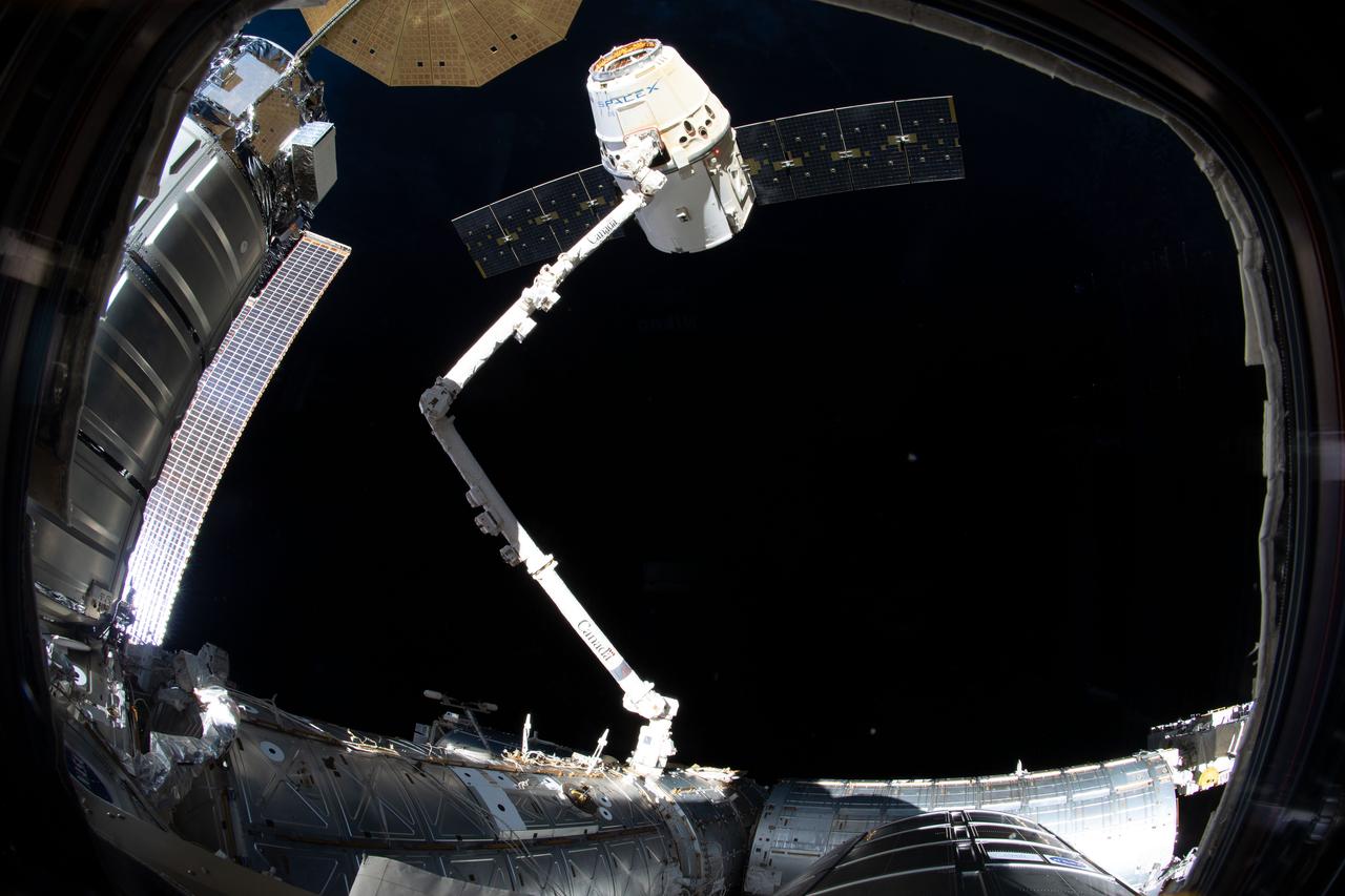 iss059e089342 (June 3, 2019) --- The SpaceX Dragon cargo craft on its 17th contracted mission to resupply mission to the International Space Station is in the grips of the Canadarm2 robotic arm moments before being released.