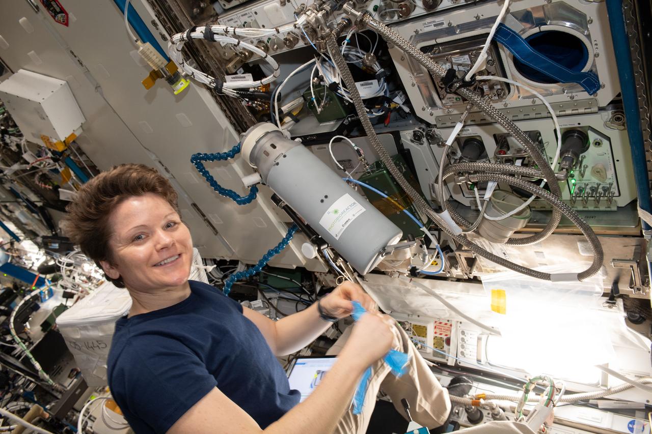 iss059e092349 (June 6, 2019) --- NASA astronaut Anne McClain works with Photobioreactor hardware for a study demonstrating that microalgae could be used to support hybrid life support systems in space. This hybrid approach could be helpful in future long-duration exploration missions, reducing the amount of consumables required from Earth.