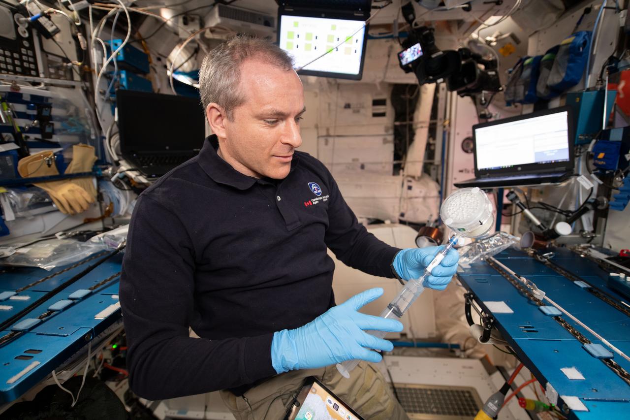 iss059e092719 (6/10/2019) --- Canadian Space Agency astronaut David Saint-Jacques is shown initializing the BioNutirents investigation by hydrating the growth packets onboard the International Space Station (ISS). The BioNutrients investigation demonstrates a technology that enables on-demand production of human nutrients during long-duration space missions. The process uses engineered microbes, like yeast, to generate carotenoids from an edible media to supplement potential vitamin losses from food that is stored for very long periods.