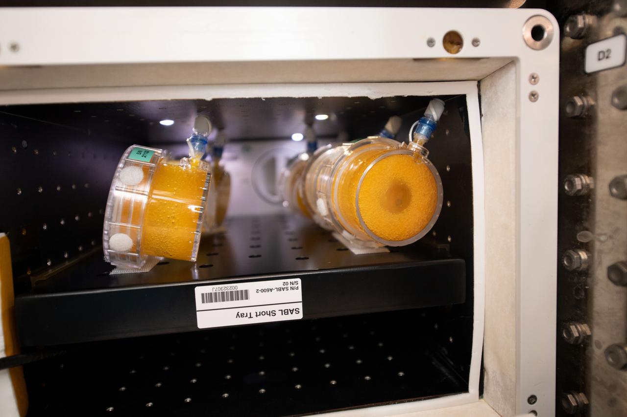 iss059e092729 (6/10/2019) --- Photo documentation of the BioNutirents packets in the Space Automated Bioproduct Laboratory (SABL) incubator onboard the International Space Station (ISS). The BioNutrients investigation demonstrates a technology that enables on-demand production of human nutrients during long-duration space missions. The process uses engineered microbes, like yeast, to generate carotenoids from an edible media to supplement potential vitamin losses from food that is stored for very long periods.