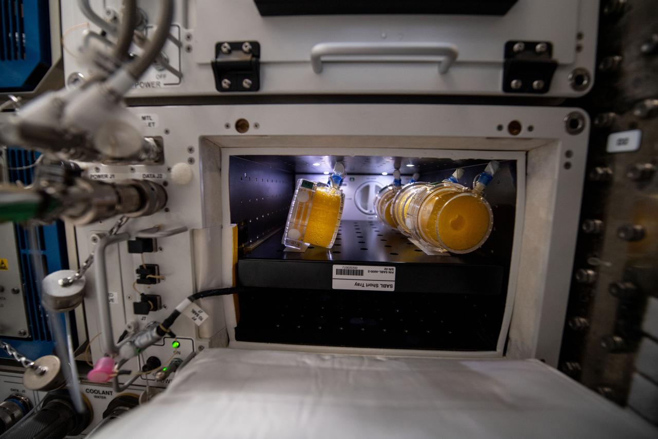 iss059e099184 (6/10/2019) --- Photo documentation of the BioNutirents packets in the Space Automated Bioproduct Laboratory (SABL) incubator onboard the International Space Station (ISS). The BioNutrients investigation demonstrates a technology that enables on-demand production of human nutrients during long-duration space missions. The process uses engineered microbes, like yeast, to generate carotenoids from an edible media to supplement potential vitamin losses from food that is stored for very long periods.