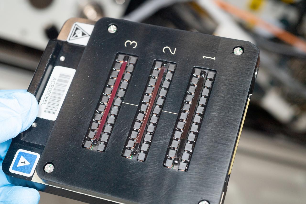 iss059e101463 (6/12/2019) --- Photo documentation aboard the International Space Station (ISS) of the ACE Modules taken during the ACE-T10 Module Configuration. The Advanced Colloids Experiment-Temperature-10 (ACE-T-10) investigates the growth kinetics, microscopic dynamics, and restructuring processes in ordered and disordered structures such as colloidal crystals, glasses and gels. The investigation studies crystal nucleation in colloidal fluids, the origin of ageing in glasses and gels, as well as the heterogeneous nature of the microscopic dynamics in these structures. The study must be conducted in microgravity, as gravitational stresses affect the structure and growth of these solids from colloids.