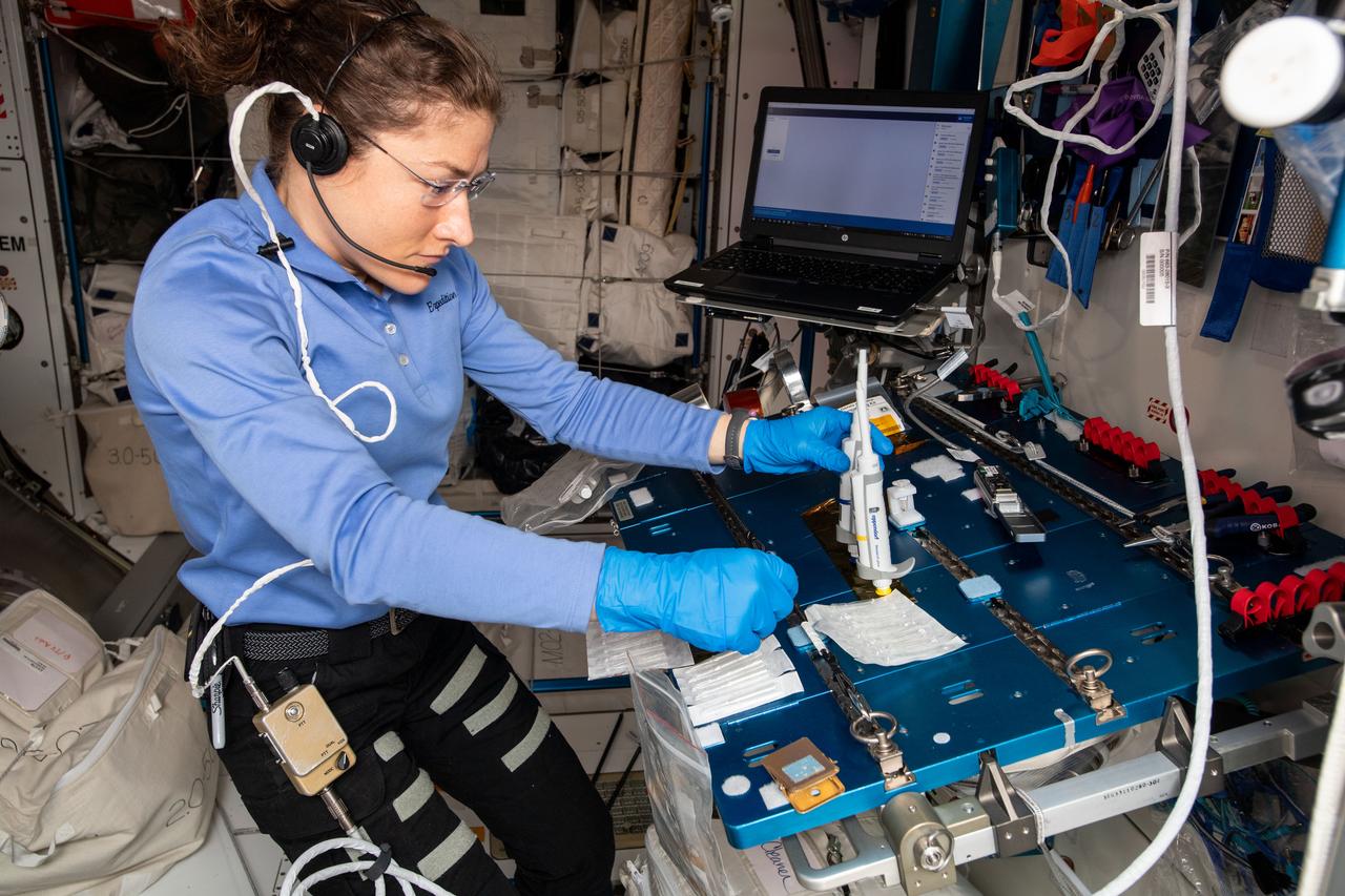 iss059e111734 (June 18, 2019) --- Flight Engineer Christina Koch of NASA works on the Genes In Space-6 (GIS-6) experiment inside Europe’s Columbus laboratory module. GIS-6 uses the Biomolecule Sequencer to sequence DNA samples to help scientists understand how space radiation mutates DNA and assess the molecular level repair process.