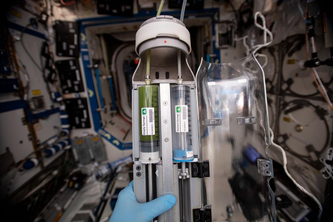 iss059e114346 (6/20/2019) — Photo documentation abroad the International Space Station (ISS) of the Empty Syringe and the Nutrient Syringe during the filling of the Photobioreactor (PBR) with medium and algae to begin the experiment. The Photobioreactor investigation aims at demonstrating that microalgae (i.e. biological processes) can be used together with existing systems to improve recycling of resources, creating a hybrid life support system. This hybrid approach could be helpful in future long-duration exploration missions, as it could reduce the amount of consumables required from Earth.