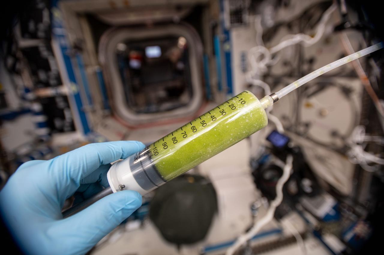 iss059e114352 (6/20/2019) — Photo documentation abroad the International Space Station (ISS) of the syringe during the filling of the Photobioreactor (PBR) with medium and algae to begin the experiment. The Photobioreactor investigation aims at demonstrating that microalgae (i.e. biological processes) can be used together with existing systems to improve recycling of resources, creating a hybrid life support system. This hybrid approach could be helpful in future long-duration exploration missions, as it could reduce the amount of consumables required from Earth.