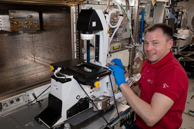 NASA image: iss060e008886