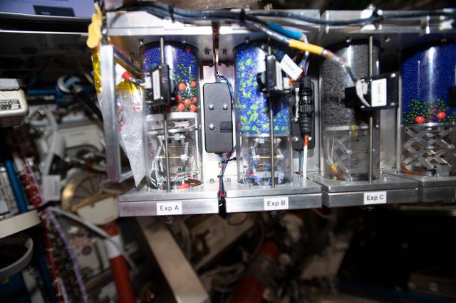 NASA image: iss060e008906