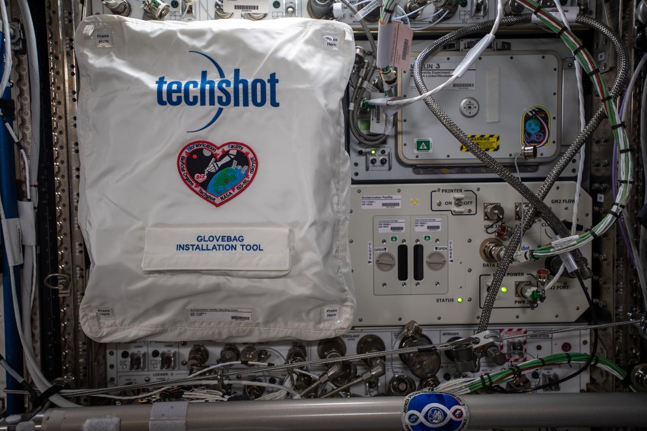 iss060e019631 (7/29/2019) --- Photo documentation of the commercially developed and operated BioFabrication Facility (BFF) and the Advanced Space Experiment Processor (ADSEP). Together they comprise a 3D tissue bioprinting system aboard the International Space Station (ISS).