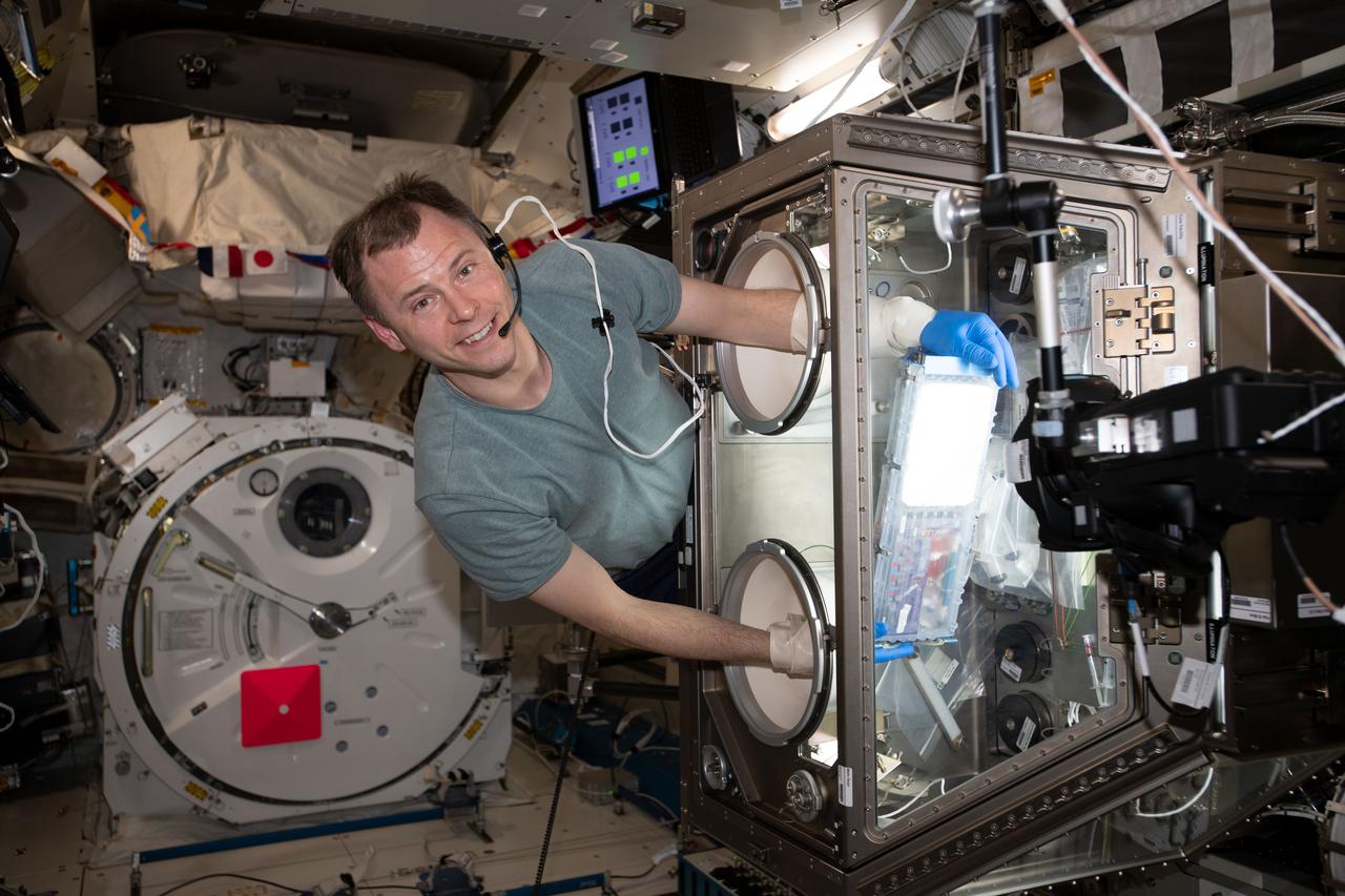 iss060e019982 (July 30, 2019) --- NASA astronaut Nick Hague works inside the Japanese Kibo laboratory module supporting research activities with the Life Sciences Glovebox. Hague is conducting science operations for the Cell Science-02 bone healing and tissue regeneration experiment.
