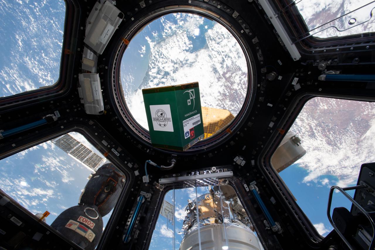 iss060e020116 (7/31/2019) --- A view of the NanoLab containing the Young Living investigation in the Cupola window aboard the International Space Station (ISS). The Young Living investigation studies the effects of exposure to the extraterrestrial environment on plant seeds and essential oils. Researchers expose seeds to the space environment then germinate and grow them to maturity on the ground and extract essential oils. The plant growth and composition of essential oils are compared to those from controls kept on the ground.