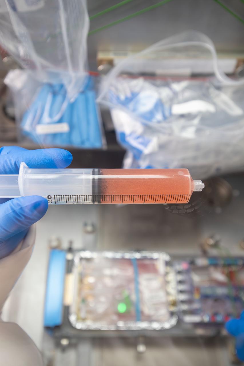 iss060e021649 (8/3/2019) --- Photo documentation of the Cell Science-02 investigation aboard the International space Station (ISS). The Cell Science-02 (CS-02) investigation compares the ability of two different bone inducing growth factors, one novel and one currently used in bone healing therapies, to stimulate growth, differentiation, and related cellular functions of osteoblast cells in culture.