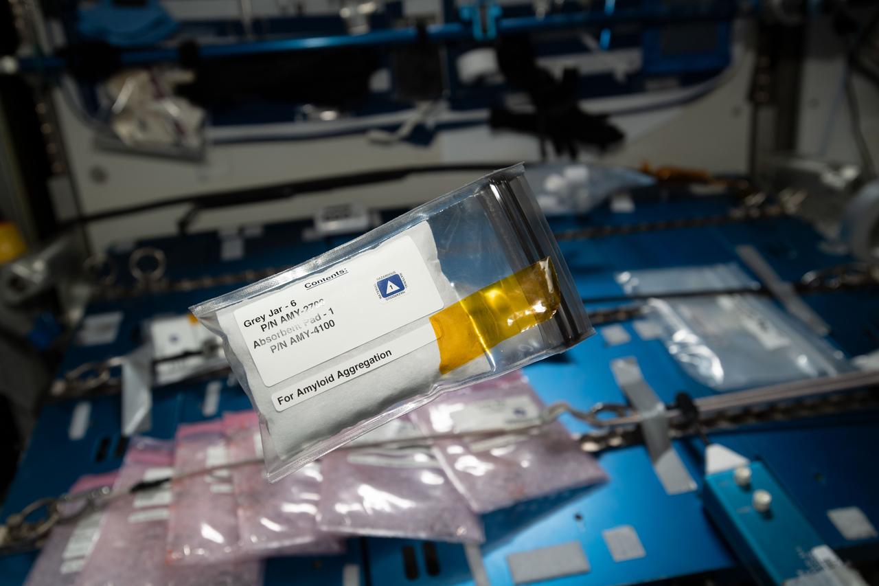 iss060e023981 (8/7/2019) --- Photo documentation of an Amyloid Aggregation Grey Jar sample pack, aboard the International Space Station (ISS). The cap colors are used to distinguish the incubation times. The aim of the Amyloid Aggregation investigation is to assess if amyloid fibrils aggregation is affected by microgravity in order to identify a possible professional risk in astronauts spending long periods on board the ISS. The knowledge gained could contribute to the designing of innovative therapeutic strategies for the treatment of Alzheimer’s Disease and for other diseases characterized by protein accumulation.
