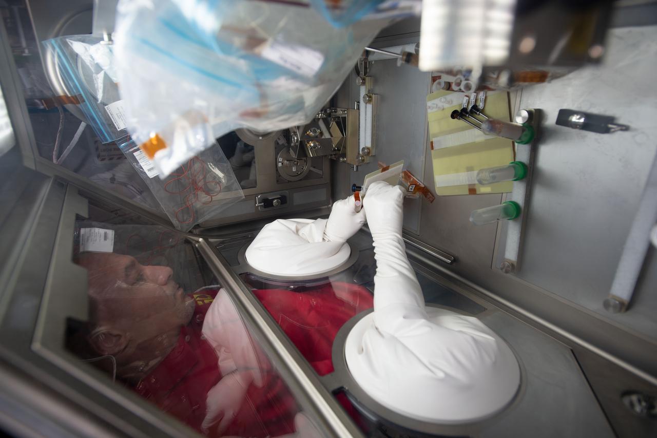iss060e035085 (8/12/2019) --- European Space Agency (ESA) astronaut Luca Parmitano injects media into the culture bag of the Micro-15 investigation in the Japanese Experiment Module (JEM) abroad the International space Station (ISS). The goal of this investigation is to better understand the effects of gravity on the differentiation of mammalian cells using 3-D cultures of induced pluripotent stem (iPS) cells. This study investigates how exposure to microgravity fundamentally alters cell regulation and how these changes can affect the timing, progression, and outcomes of cell differentiation.