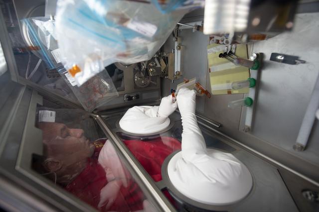 NASA image: iss060e035085