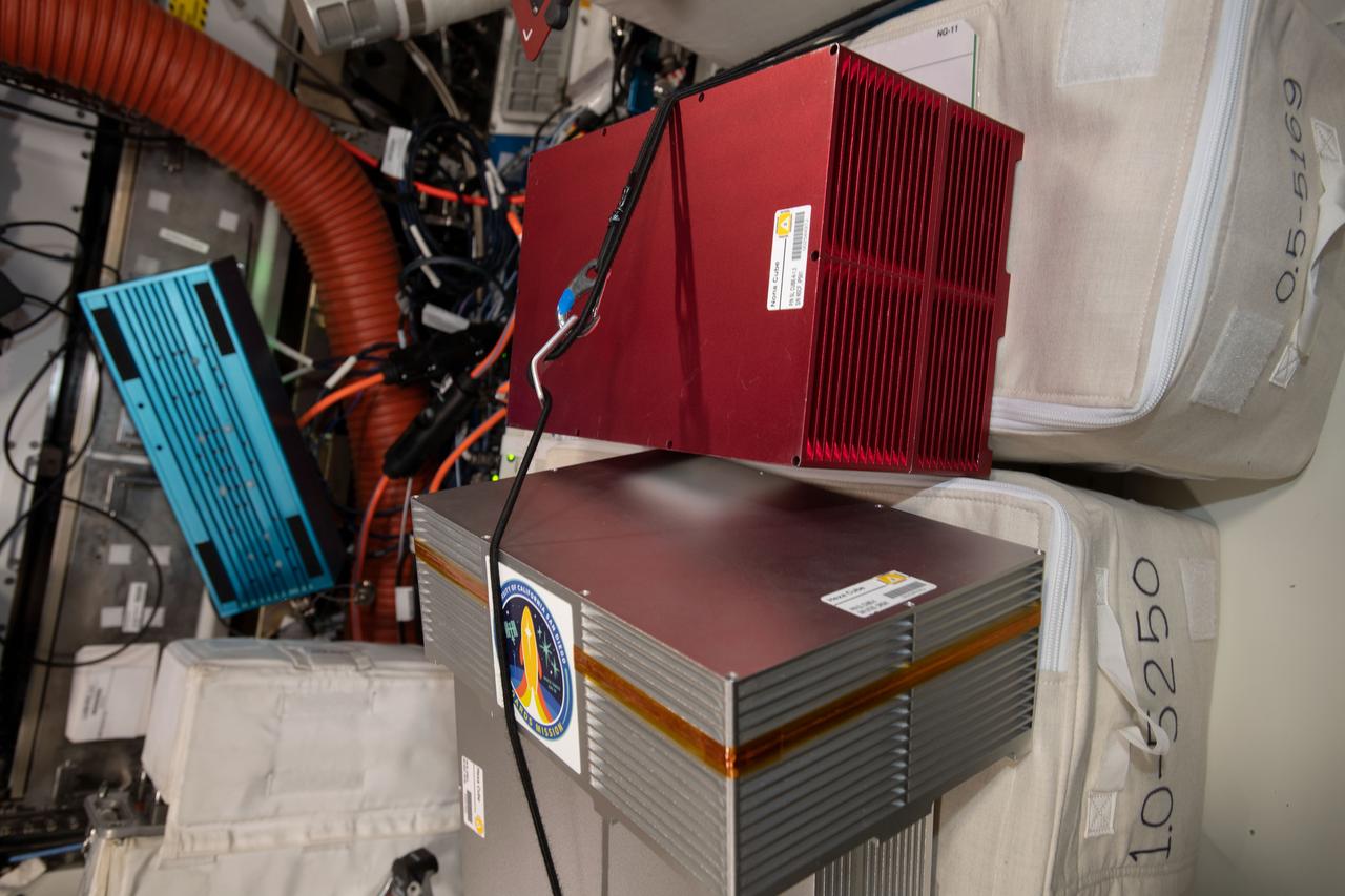 iss060e036685 (8/9/2019) — A view aboard the International Space Station (ISS) of the TangoLab Mission-13 CubeLabs: Space Tango-Human Brain Organoids and Space Tango-Induced Pluripotent Stem Cells. Space Tango-Induced Pluripotent Stem Cells examines how microglial cells grow and move in three-dimensional (3D) cultures as well as any changes in gene expression that occur as a result of microgravity exposure. Space Tango-Human Brain Organoids observes the response of brain organoids to microgravity.