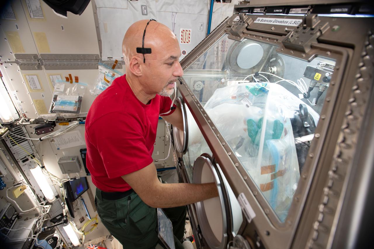 iss060e043685 (Aug. 22, 2019) --- Expedition 60 Flight Engineer Luca Parmitano of ESA (European Space Agency) conducts science operations in the Life Sciences Glovebox. He is working on the Goodyear Tire experiment that is exploring ways to manufacture safer, more fuel-efficient tires on Earth.