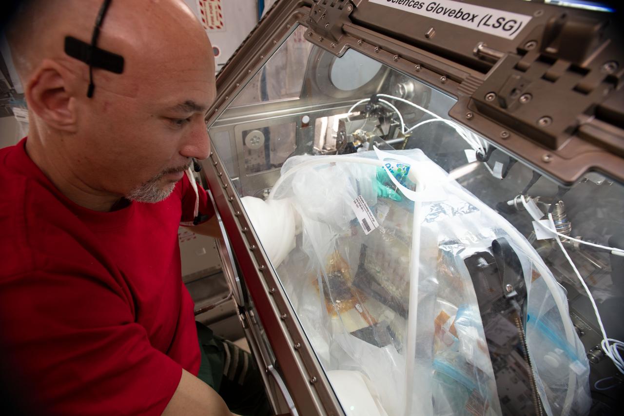 iss060e043690 (8/22/2019) --- (Aug. 22, 2019) ---European Space Agency (ESA) astronaut Luca Parmitano conducts science operations in the Life Sciences Glovebox aboard the International Space Station (ISS). He is working on the Goodyear Tire experiment that is exploring ways to manufacture safer, more fuel-efficient tires on Earth.