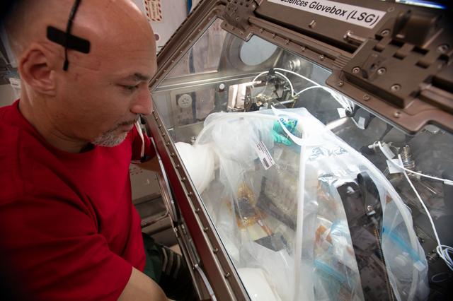 NASA image: iss060e043690