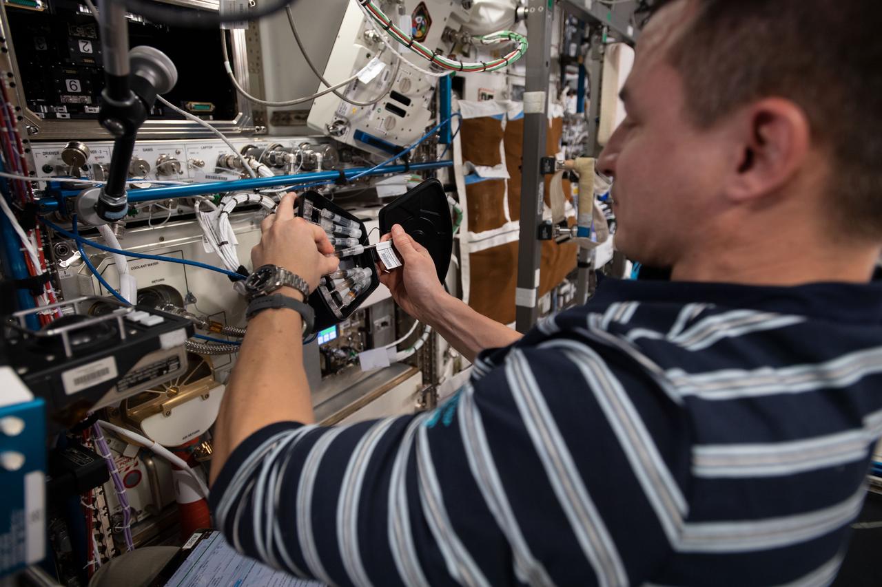 iss060e045088 (Aug. 27, 2019) --- Expedition 60 Flight Engineer Andrew Morgan of NASA works with the Multi-use Variable-g Platform (MVP) Experiment Module used in the MVP Cell-02 investigation aboard the International Space Station. The MVP enables space biology research into a variety of small organisms such as fruit flies, flatworms, plants, fish, cells, protein crystals and many others.