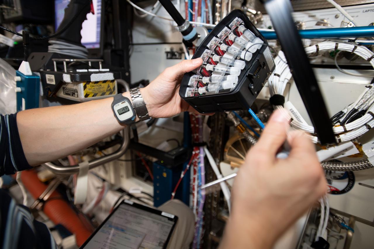 iss060e045091 (8/27/2019_ —- A view of the MVP Experiment Module used in the MVP Cell-02 investigation aboard the International Space Station (ISS). The Multi-use Variable-g Platform (MVP) enables space biology research into a variety of small organisms such as fruit flies, flatworms, plants, fish, cells, protein crystals and many others.
