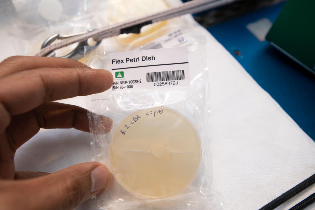 iss060e081535 (9/28/2019) --- A view of the Flex Petri Dishes housed inside NanoRacks Module-86 Module MBRSC - Modification 9 (The Mohammed bin Rashid Space Centre (MBRSC) Science in Space Competition) - Modification 9. The first Emirati astronaut performs this investigation aboard the International Space Station (ISS) to help students in the UAE become more integrated and excited about Science, Technology, Engineering, and Mathematics (STEM) as well as space as an environment to perform scientific research.
