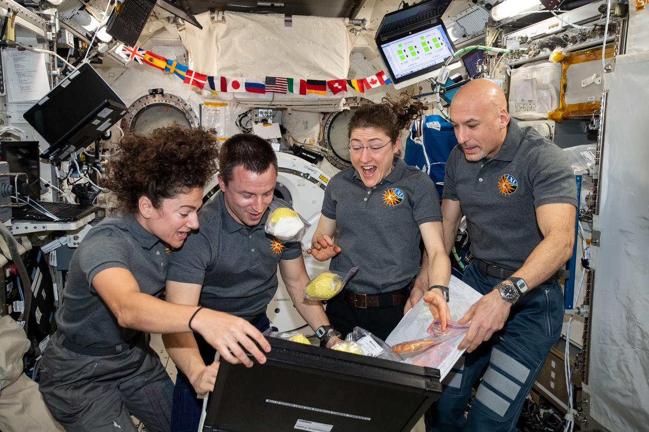 iss061e004031 (Oct. 7, 2019) --- Four Expedition 61 crewmembers unpack fresh fruit and other goodies from a stowage bag delivered aboard Japan's HTV-8 cargo craft. From left are, NASA Flight Engineers Jessica Meir, Andrew Morgan and Christina Koch with Commander Luca Parmitano of ESA (European Space Agency).
