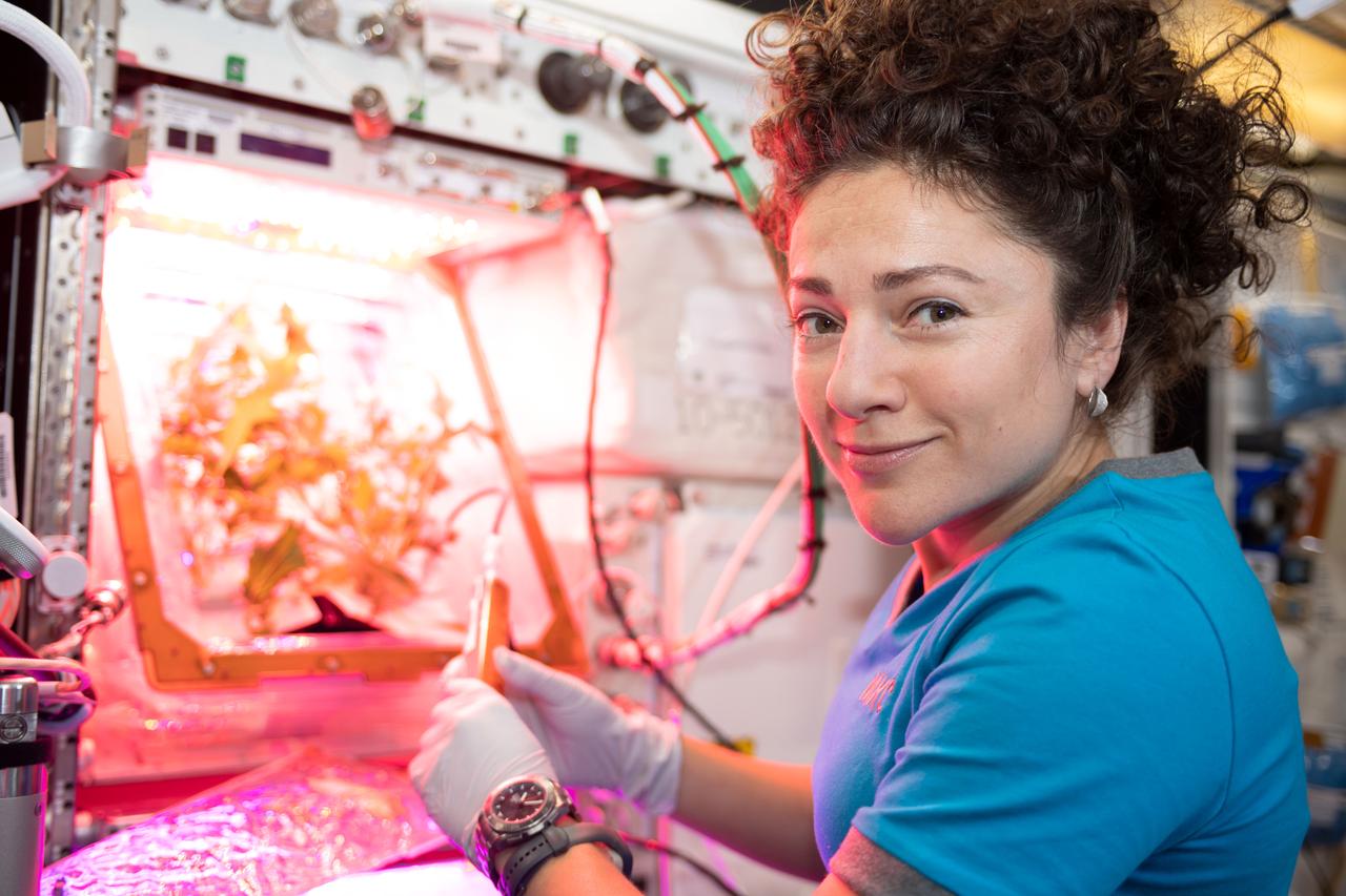 iss061e014149 (Oct. 27, 2019) --- NASA astronaut Jessica Meir waters plant pillows where Mizuna mustard greens are raised as part of the Veg-04B experiment. This investigation is part of a phased research project to address the need for a continuous fresh food production system in space and focuses on the effects of light quality and fertilizer on a leafy crop. Taste is assessed by the crew.