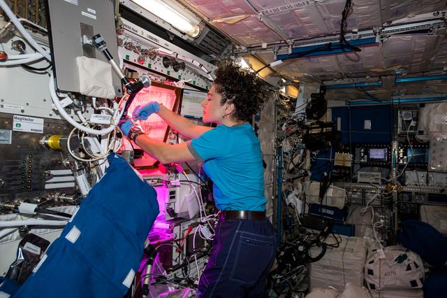 NASA image: iss061e038294