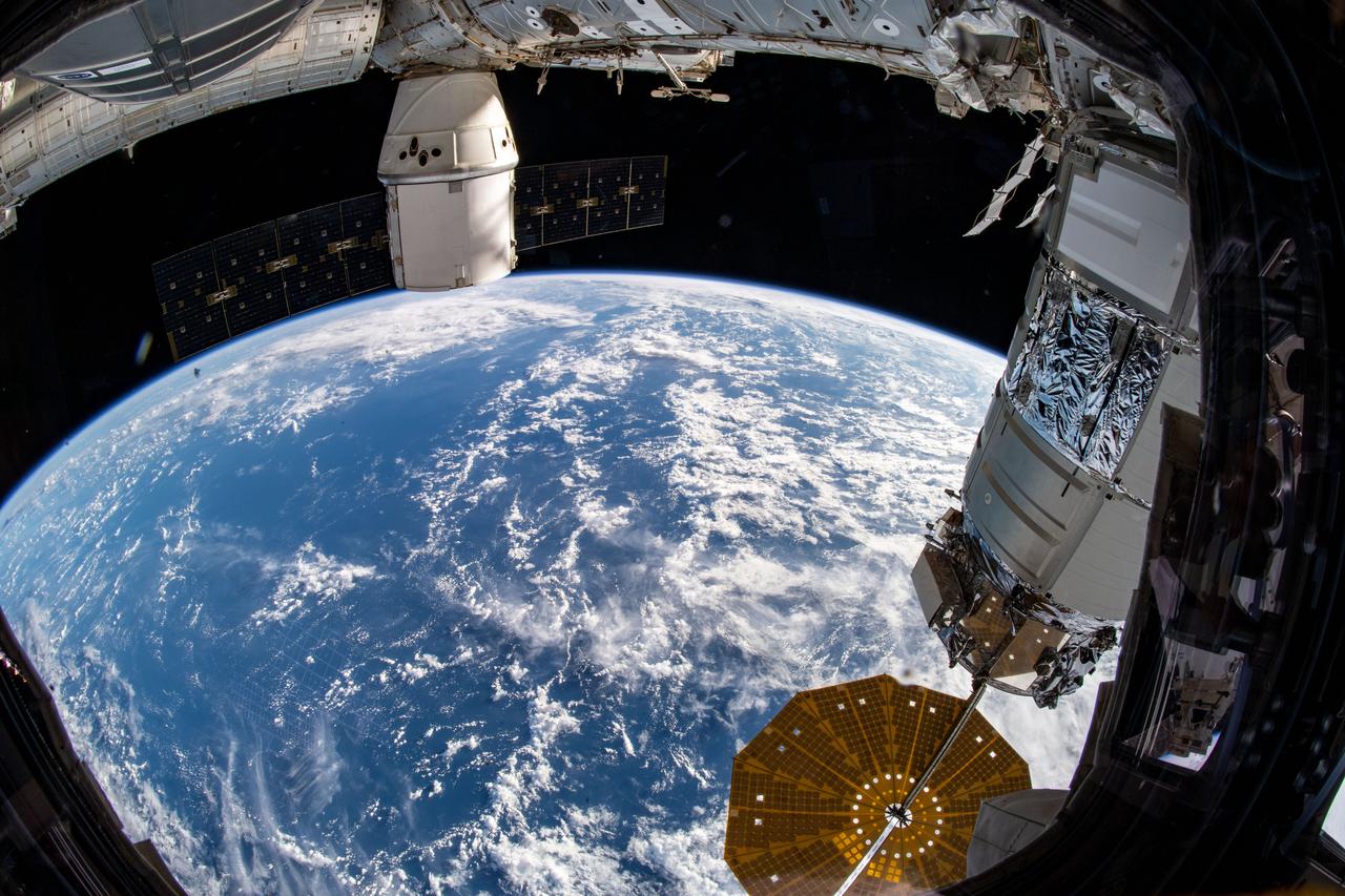 iss061e093054 (Dec. 20, 2019) --- Two U.S. cargo ships are pictured attached to the International Space Station as the orbital complex flew 260 miles above the Laccadive Sea south of India. In the right foreground, the Northrop Grumman Cygnus space freighter, with one of its prominent cymbal-shaped UltraFlex solar arrays below, is attached to the Unity module. At top rear, the SpaceX Dragon commercial resupply ship is attached to the Harmony module.