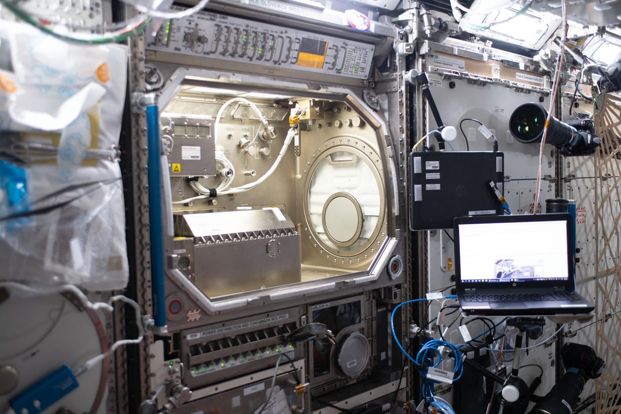 iss062e080867 (3/5/2020) --- A view of the Transparent Alloys Hardware Setup in the Microgravity Sciences Glovebox (MSG) Work Volume (WV) in the U.S. Destiny Laboratory aboard the International Space Station (ISS).