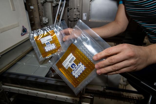 NASA image: Protein Crystal Growth-10 experiment