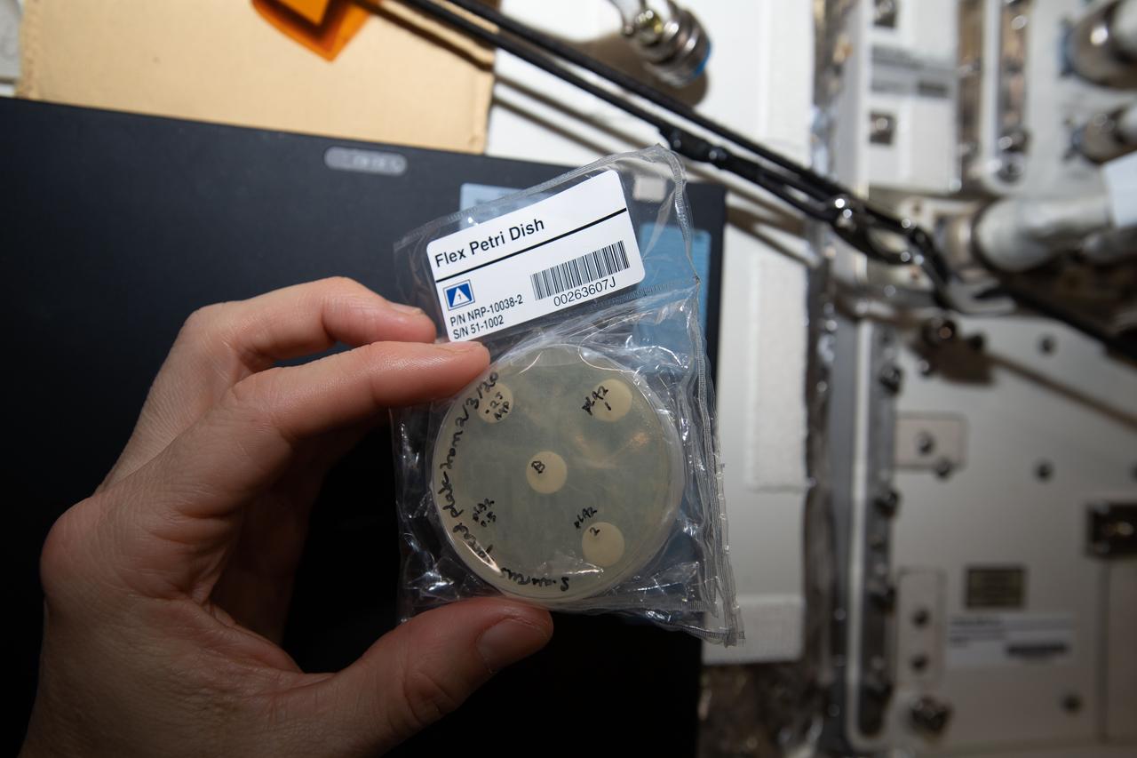 iss062e098352 (3/17/2020) --- A View of the ISSET-Nanoracks-Mission Discovery 4 investigation aboard the International Space Station (ISS). The Antibacterial properties of Phospholipase A2 (PLA2; bee venom) sub-investigation seeks to evaluate the antibacterial properties of PLA2 on Staphylococcus Aureus bacteria in a space environment.