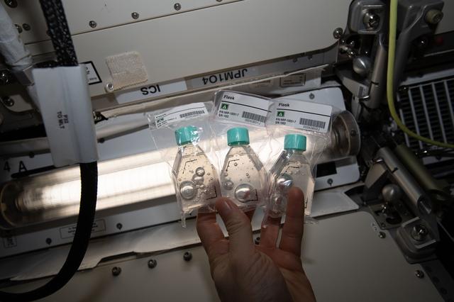 NASA image: Nanoracks Module-51 Status 2