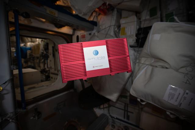 NASA image: Gut on Chip