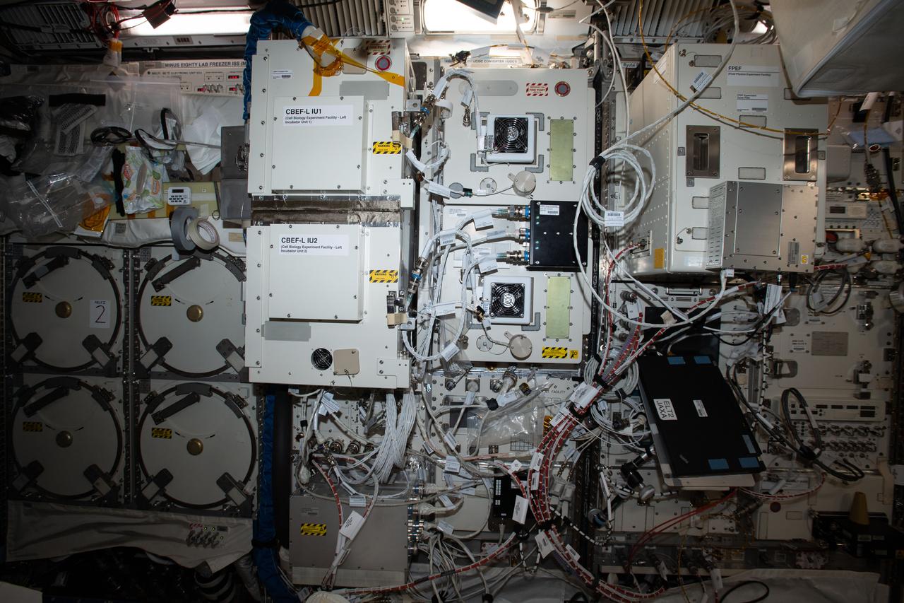 iss062e103684 (3/21/2020) --- A view of the rack containing CBEF-L (Cell Biology Experiment Facility-L) IU1 and CBEF-L IU2 in the Japanese Experiment Module (JEM) Pressurized Module (JPM). aboard the International Space Station (ISS).  Cell Biology Experiment Facility-L (CBEF-L) is a Japan Aerospace Exploration Agency (JAXA) new subrack facility, which is an upgraded facility of the original Cell Biology Experiment Facility (CBEF) currently aboard the International Space Station (ISS). CBEF-L provides new capabilities with additional new resources such as Full High Definition video interface, Ethernet, 24 VDC power supply, and a larger diameter centrifugal test environment. By using the original CBEF and CBEF-L as one facility for the same experiment, the payload user is provided with an upgraded experimental environment that can handle the processing of more experimental samples for a wider array of experiments.