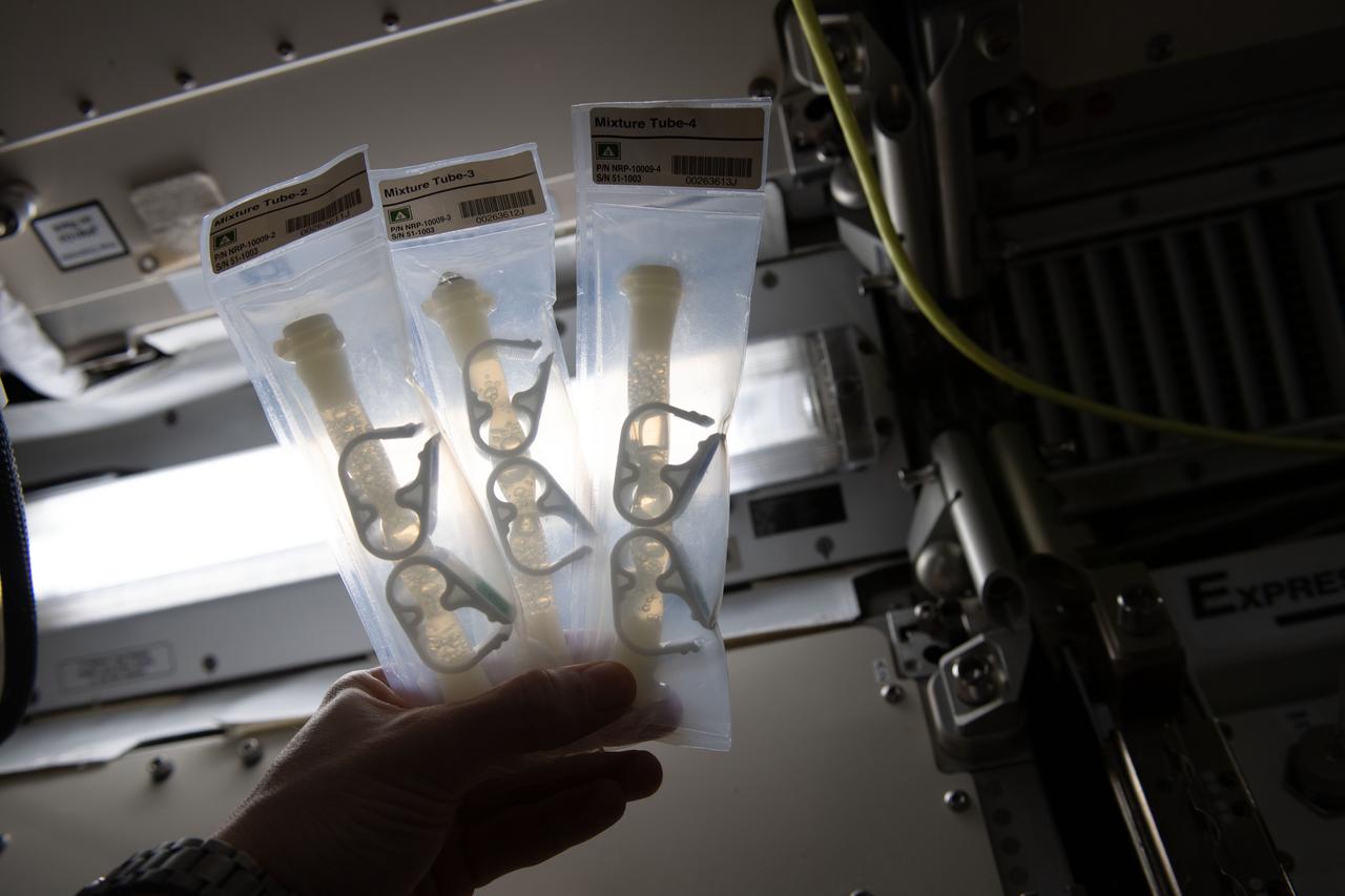 iss062e112422 (3/25/2020) --- A View of the ISSET-Nanoracks-Mission Discovery 4 investigation aboard the International Space Station (ISS). The Reproduction of yeast in microgravity sub-investigation studies whether yeast (Saccharomyces cerevisiae) is able to sexually reproduce in a microgravity environment.