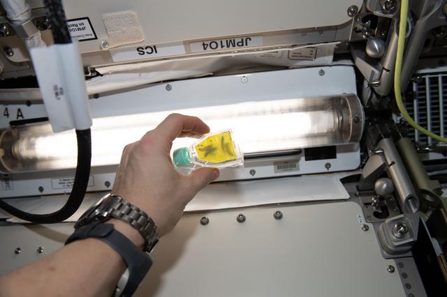 NASA image: Nanoracks Module-51 Status 3