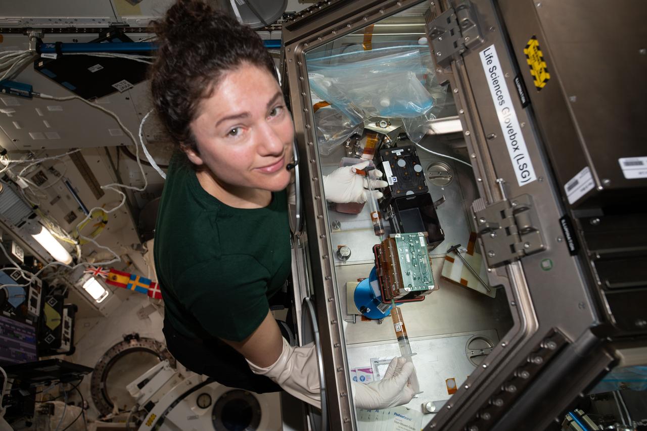 iss062e115343 (March 26, 2020) --- NASA astronaut and Expedition 62 Flight Engineer Jessica Meir conducts cardiac research inside the Life Sciences Glovebox, a biology research facility located in Japan's Kibo laboratory module. The Engineered Heart Tissues investigation is exploring cardiac function in weightlessness that may provide new drug developments for astronauts and Earthlings.