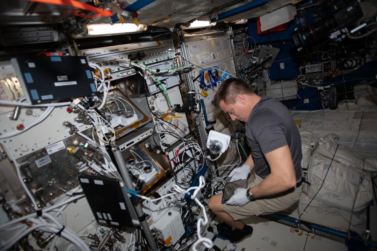 iss063e001867 (April 22, 2020) --- NASA astronaut and Expedition 63 Commander Chris Cassidy works inside the Columbus Laboratory module servicing the Veggie PONDS botany research hardware.