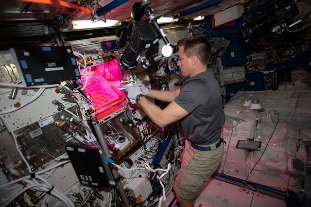 NASA image: iss063e001873