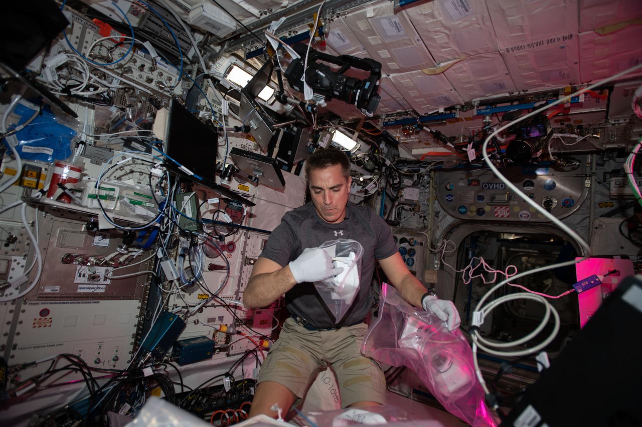 iss063e001883 (April 22, 2020) --- NASA astronaut and Expedition 63 Commander Chris Cassidy services botany research hardware inside the European Space Agency's Columbus laboratory module. The Veggie PONDS research facility in Columbus supports the growing and harvesting of lettuce and mizuna greens to demonstrate reliable vegetable growth during spaceflight.