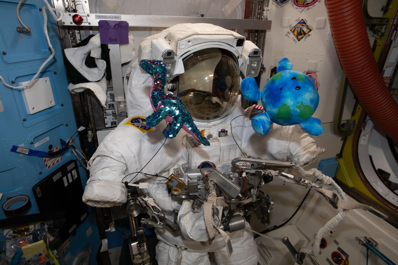 iss063e030657 (June 18, 2020) --- A U.S. spacesuit is pictured in the Quest airlock of the International Space Station ahead of a pair of spacewalks that astronauts Chris Cassidy and Behnken will conduct to upgrade orbital lab power systems. A pair of plush-doll mascots, (from left) Tremor and Little Earth, delivered aboard the first two SpaceX Crew Dragon vehicles are posed floating in front of the spacesuit.