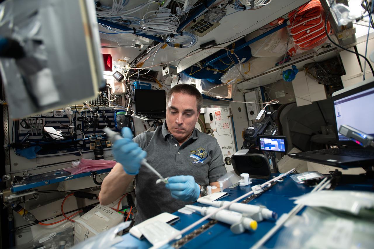 iss063e063777 (July 31, 2020) --- NASA astronaut and Expedition 63 Commander Chris Cassidy works inside the International Space Station's Harmony module servicing microbial DNA samples for sequencing and identification.