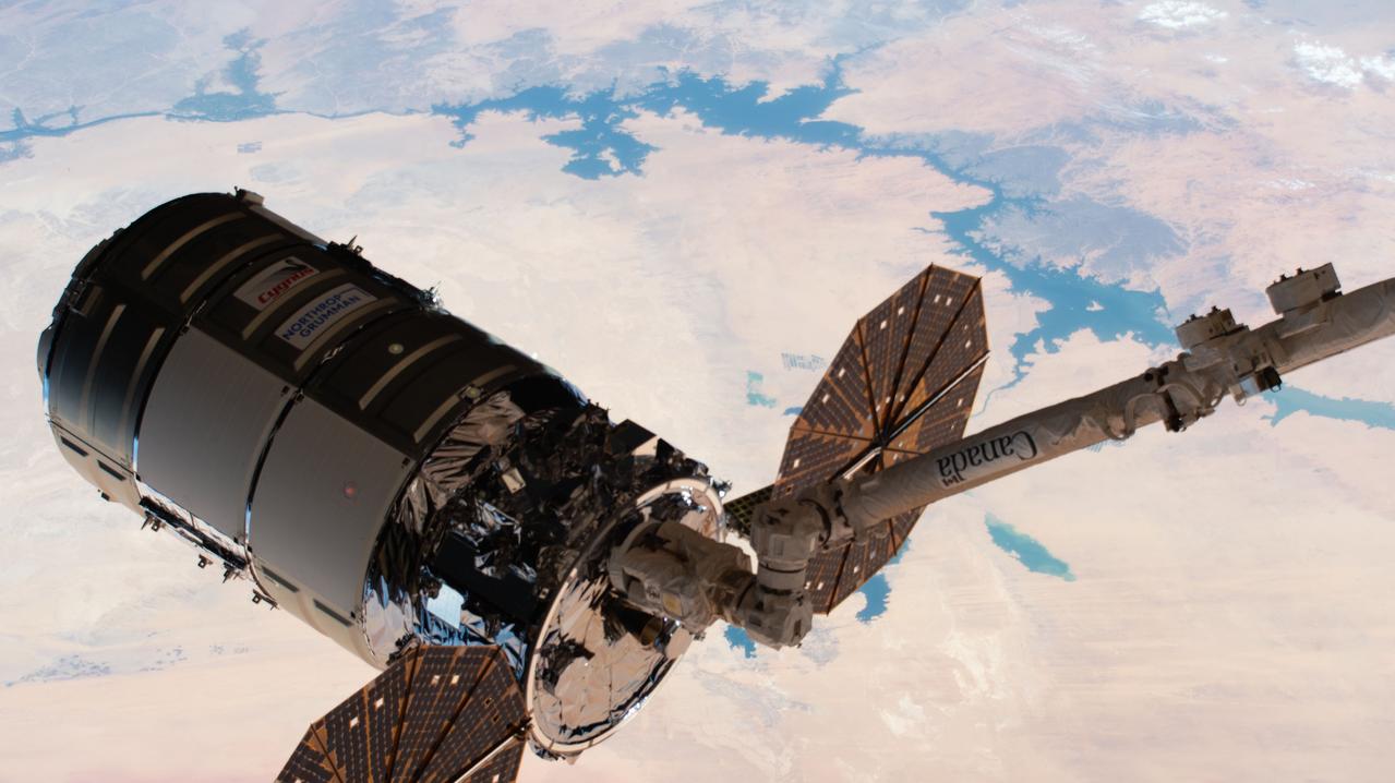 iss063e101635 (Oct. 5, 2020) --- The Northrop Grumman Cygnus space freighter is pictured after being captured by the Canadarm2 robotic arm as the International Space Station orbited above Egypt.