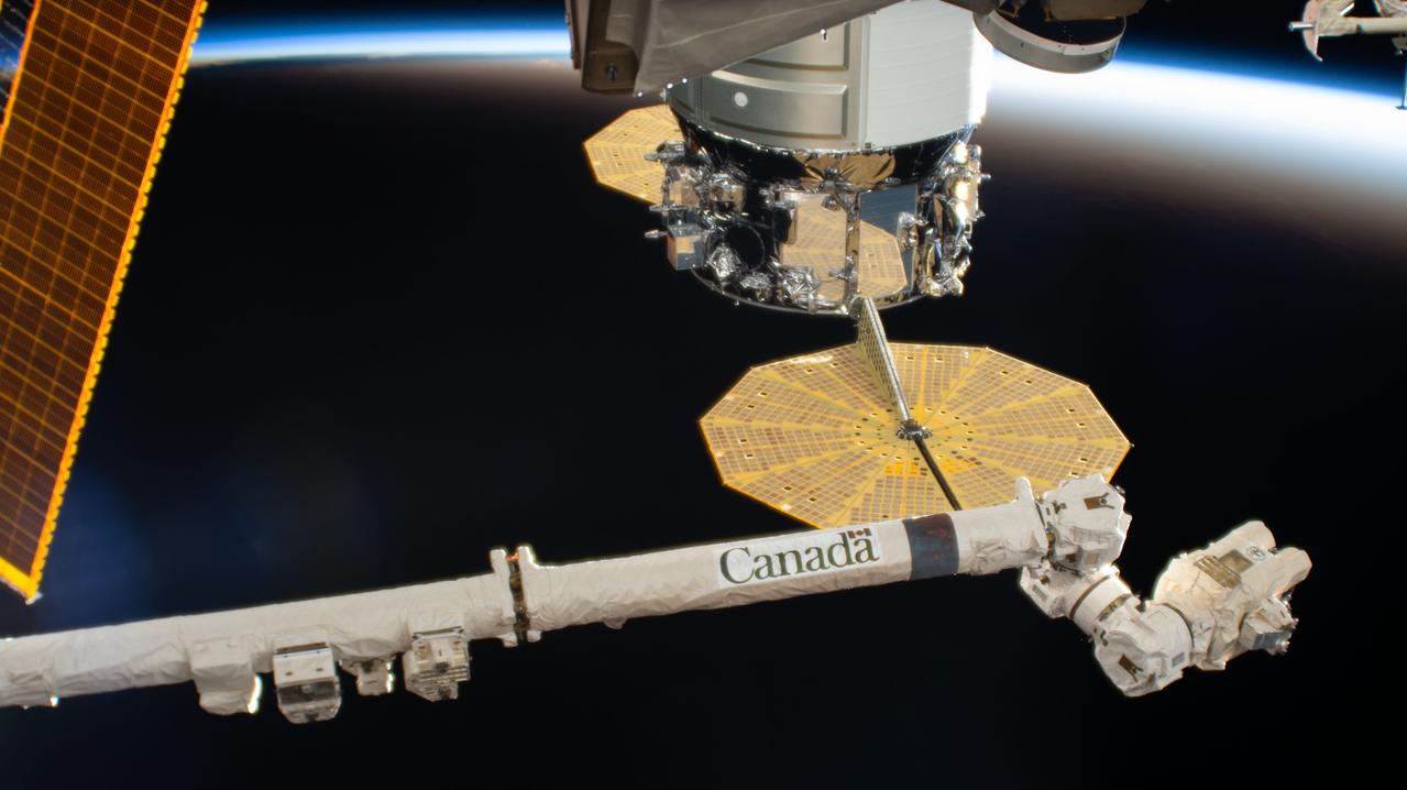 iss063e107086 (Oct. 10, 2020) --- The Canadarm2 robotic arm is extended near the Northrop Grumman Cygnus resupply ship with its prominent cymbal-shaped UltraFlex solar arrays. The International Space Station was soaring above the South Pacific Ocean and into an orbital sunset at the time this photograph was taken.